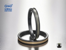 孔用組合密封件SPGW